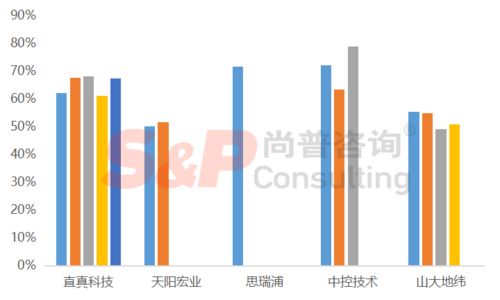 软件和信息技术服务业企业IPO募投项目设计与审核要点
