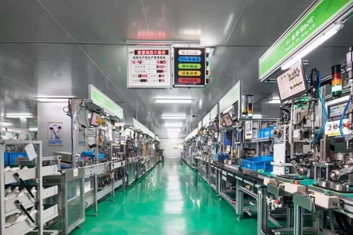 科技赋能，服务创优——区科技局深化信息技术咨询服务新路径